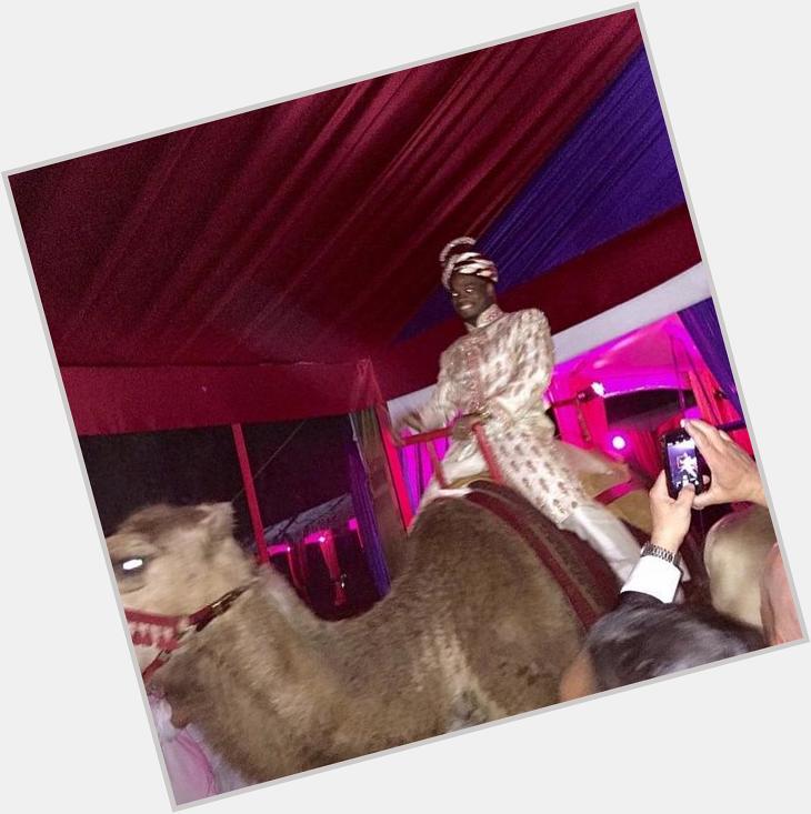   Adrian Peterson rode in on a camel at his 30th birthday party  LOOK HOW HAPPY HE IS   