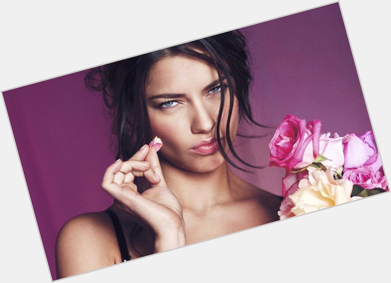 Happy Birthday For more on Adriana:  
