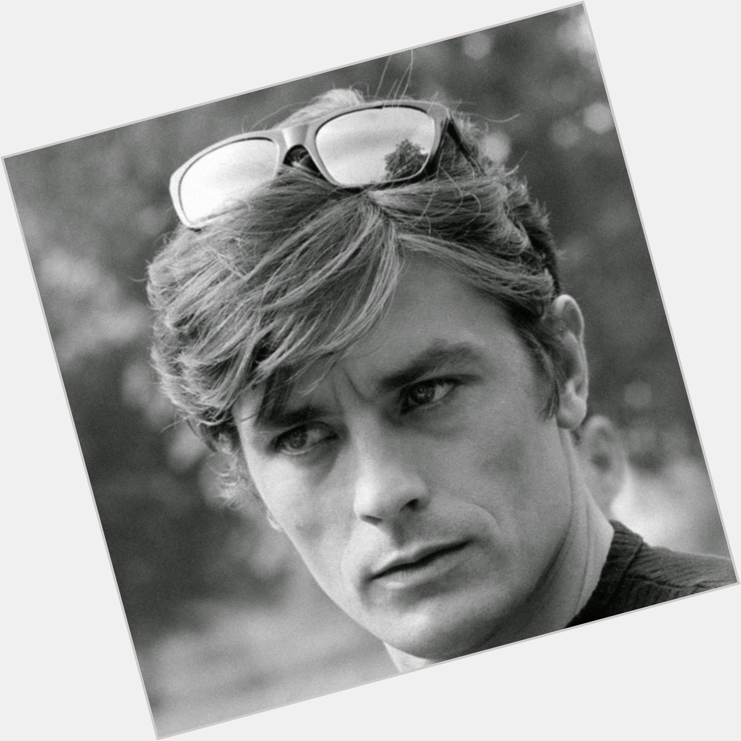 Happy birthday to Alain Delon, one of the most unreasonably handsome actors to ever grace the screen 