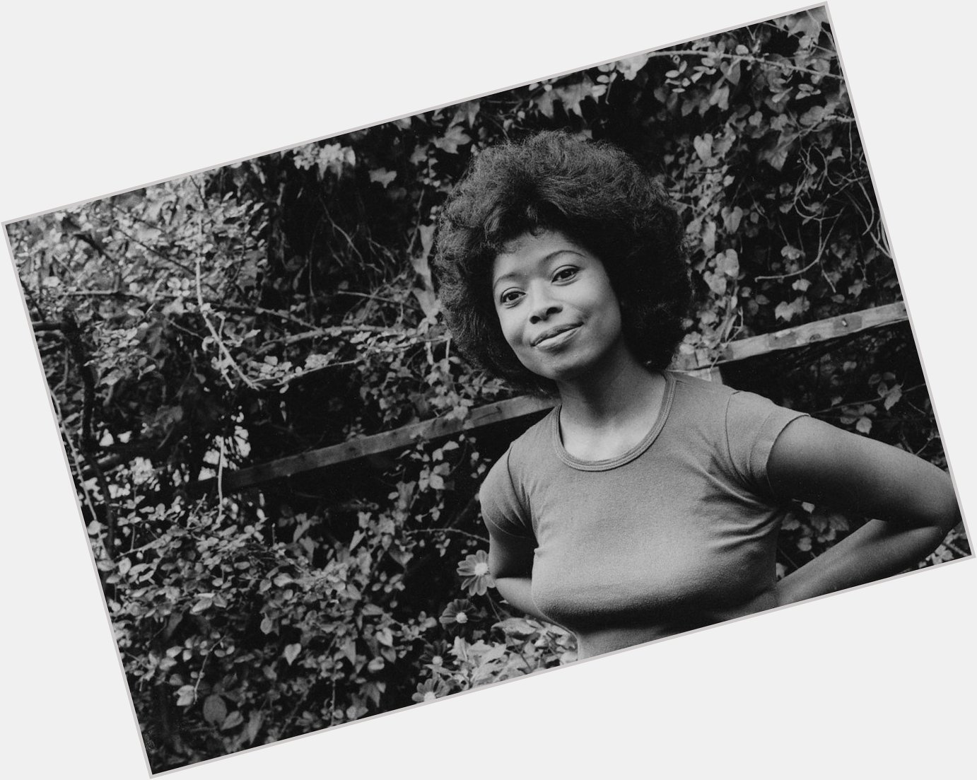 Happy Birthday to Alice Walker, who turns 74 today! 