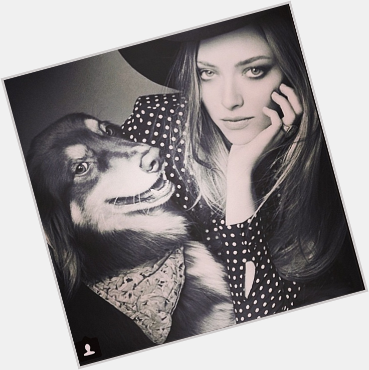 Happy birthday Amanda Seyfried! We rounded up every single time her pup won the Internet:  