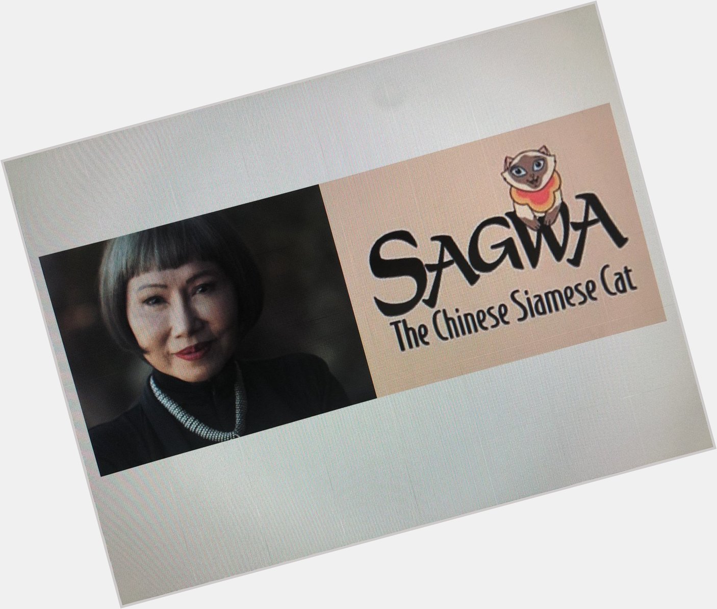 Happy 68th Birthday to Amy Tan! The creator of Sagwa, the Chinese Siamese Cat. 