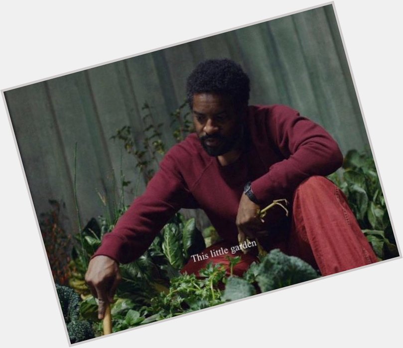 Happy Birthday to Andre 3000! 

scene is from Claire Denis\ \High Life\ (2018) 