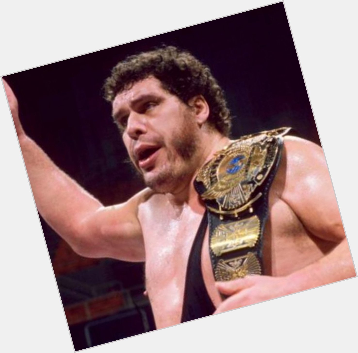 Wishing the late great Andre The Giant a Happy 73rd Birthday!  