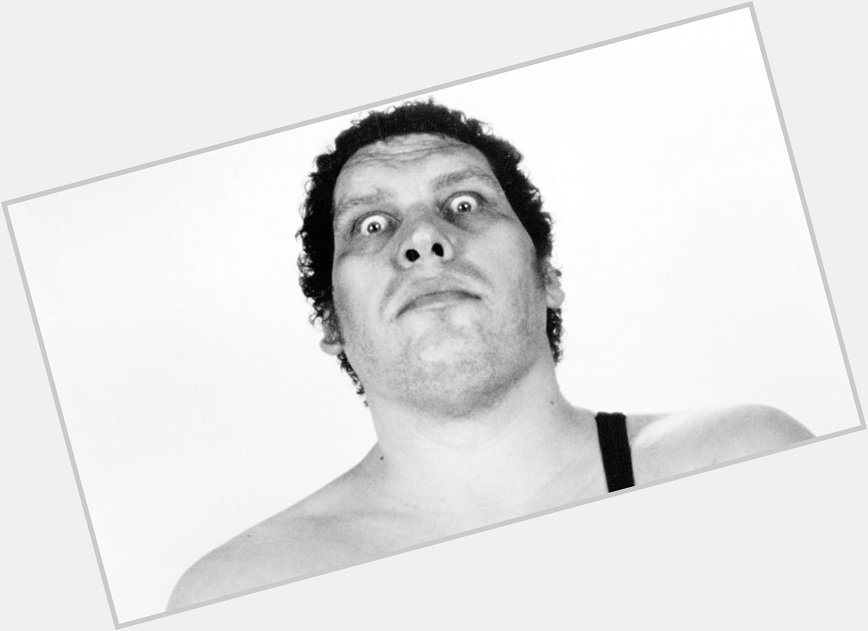 Happy 73rd Birthday To Andre the Giant  