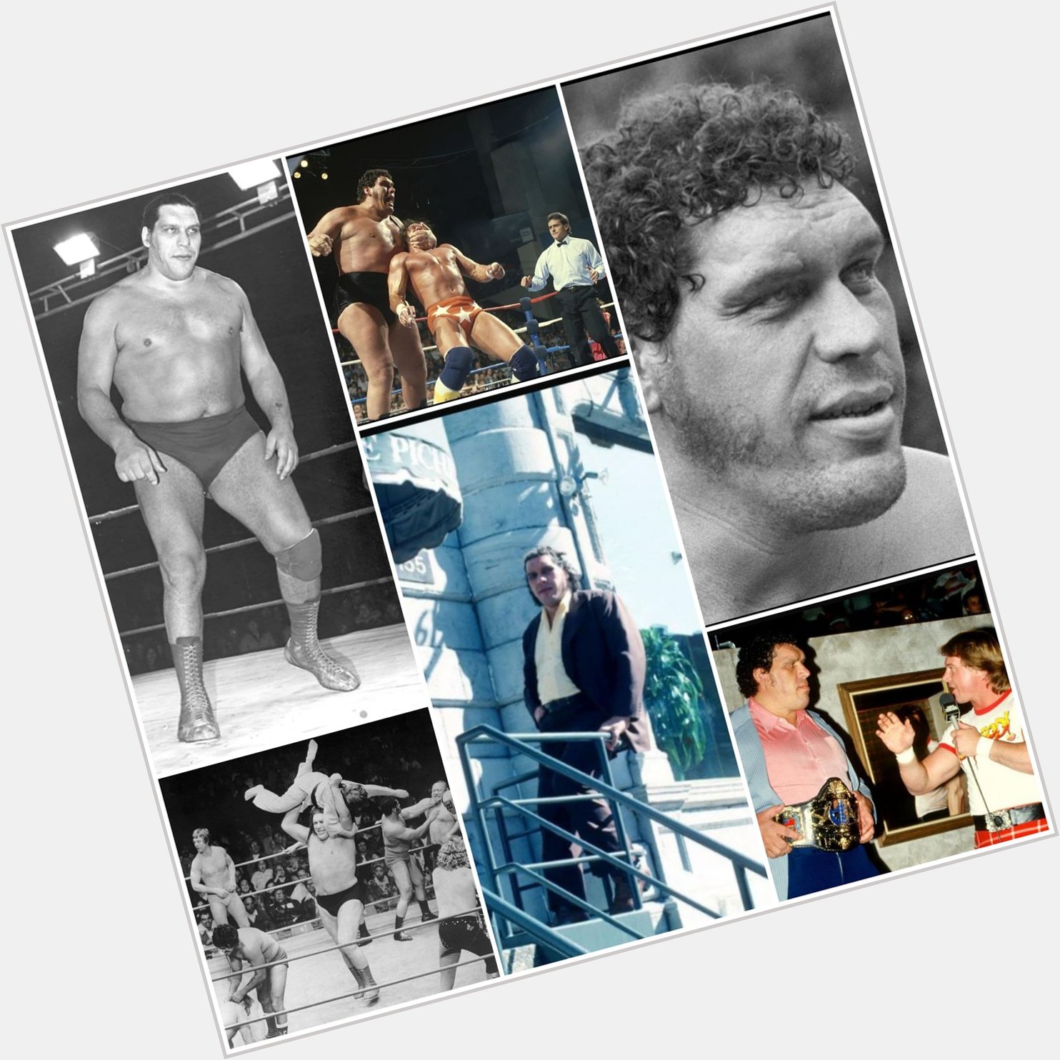 Happy birthday to Andre the Giant, who would have turned 74 today.  