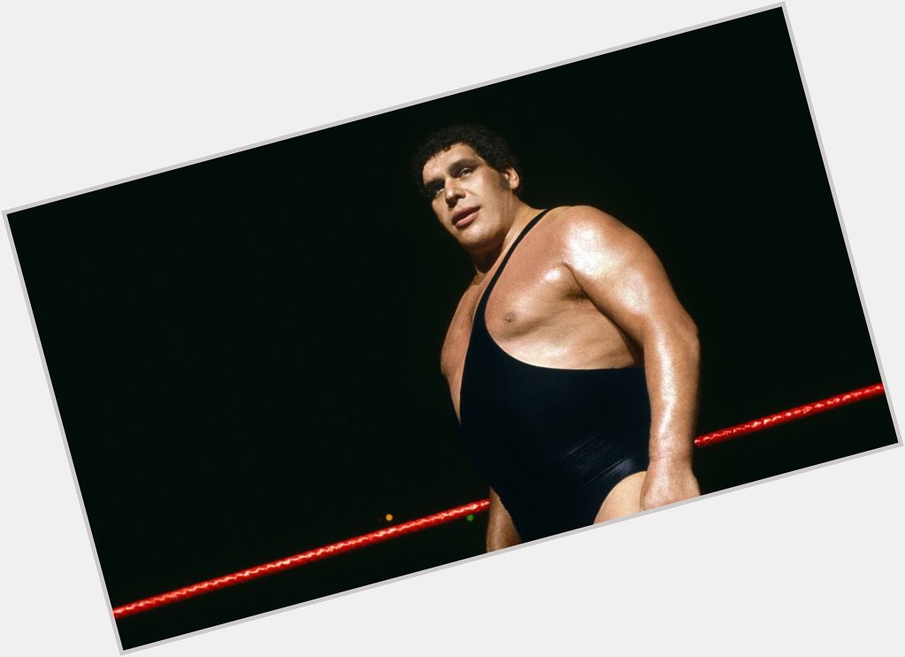  Happy 74th birthday to Andre the giant 