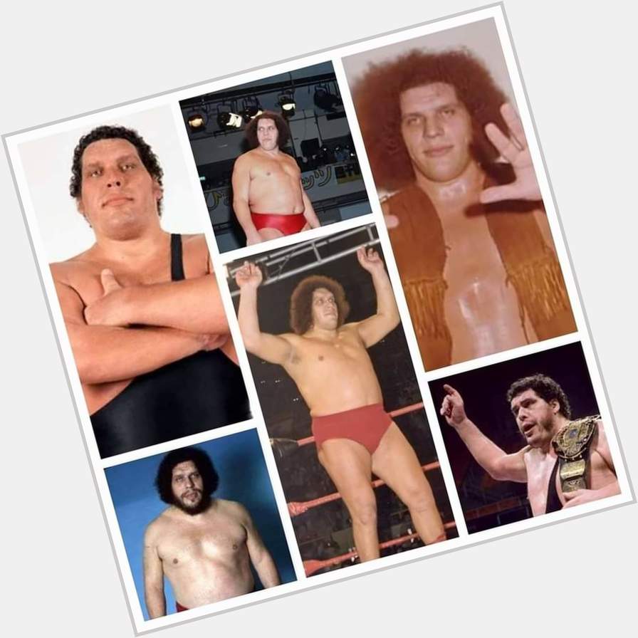 Happy Heavenly Birthday To The Late Great Andre The Giant.       (May 19th, 1946 -January 27th, 1993) 