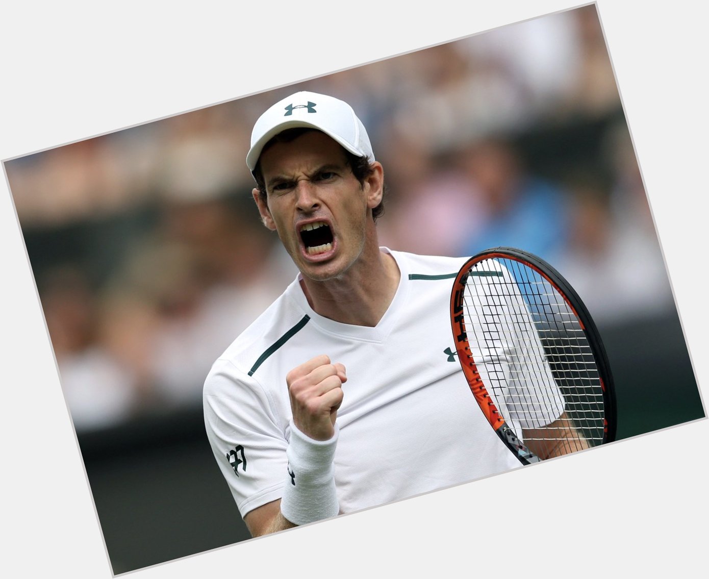    - Wimbledon Titles: 2

- Olympic Golds: 2

- US Opens: 1

- Davis Cups: 1

Happy birthday, Sir Andy Murray. 
