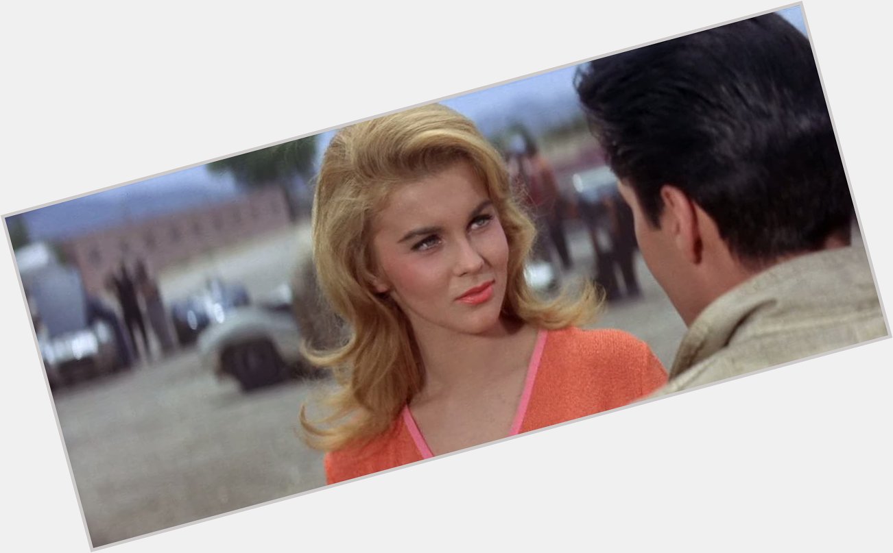 Happy Birthday to Ann Margret, my idea of perfection. 