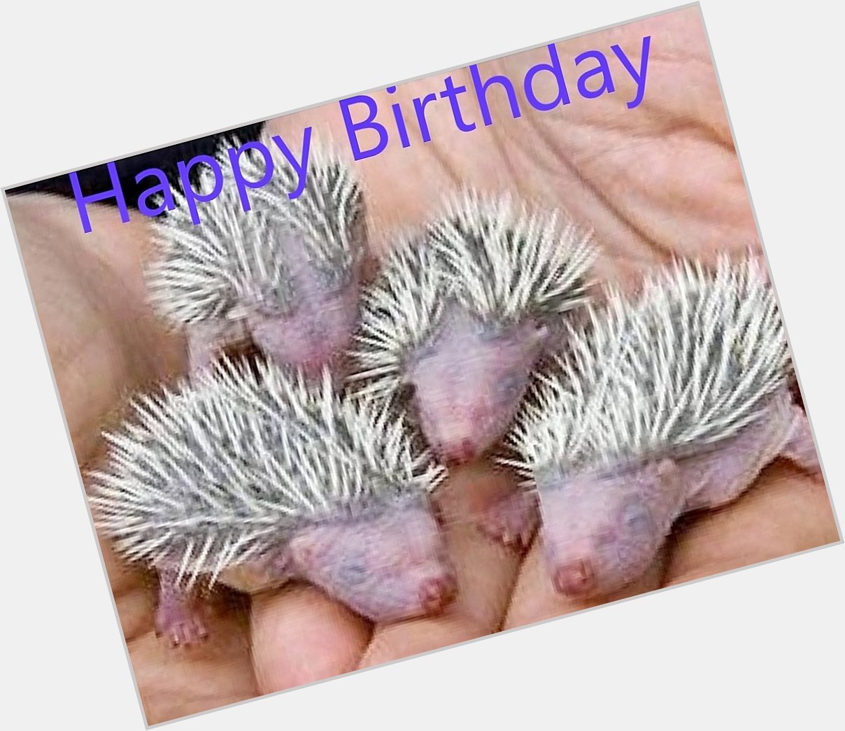 Happy Birthday to Elliot -Anna Popplewell-Rachel Bright -Theo James -Danielle O\Hara -Garnon Davis & Gareth Williams 