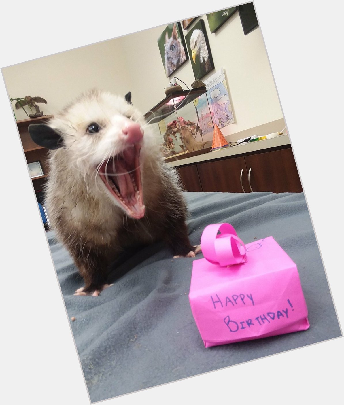 Happy Birthday to me, Arlo Guthrie, Marcel Proust, and Nikola Tesla, pictured here as a possum. 