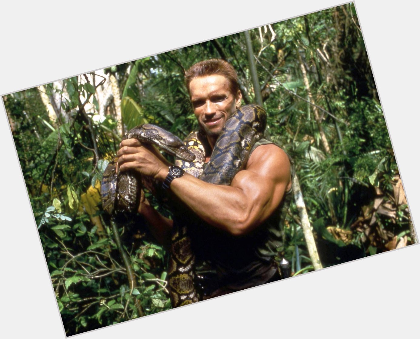 Happy birthday to the PREDATOR hunter himself, Arnold 