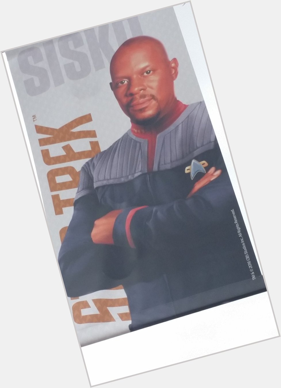 A very happy birthday to Avery Brooks!  Captain and Emissary  (as well as once being a Man called Hawk) 
