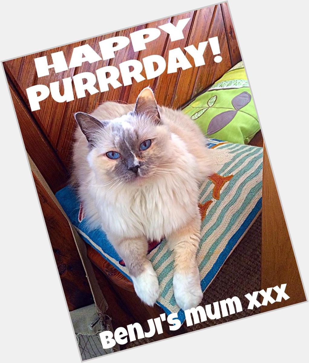    Happy Birthday to Benji\s Mum! On a  Feline ruff tomorrow?!   xxx 