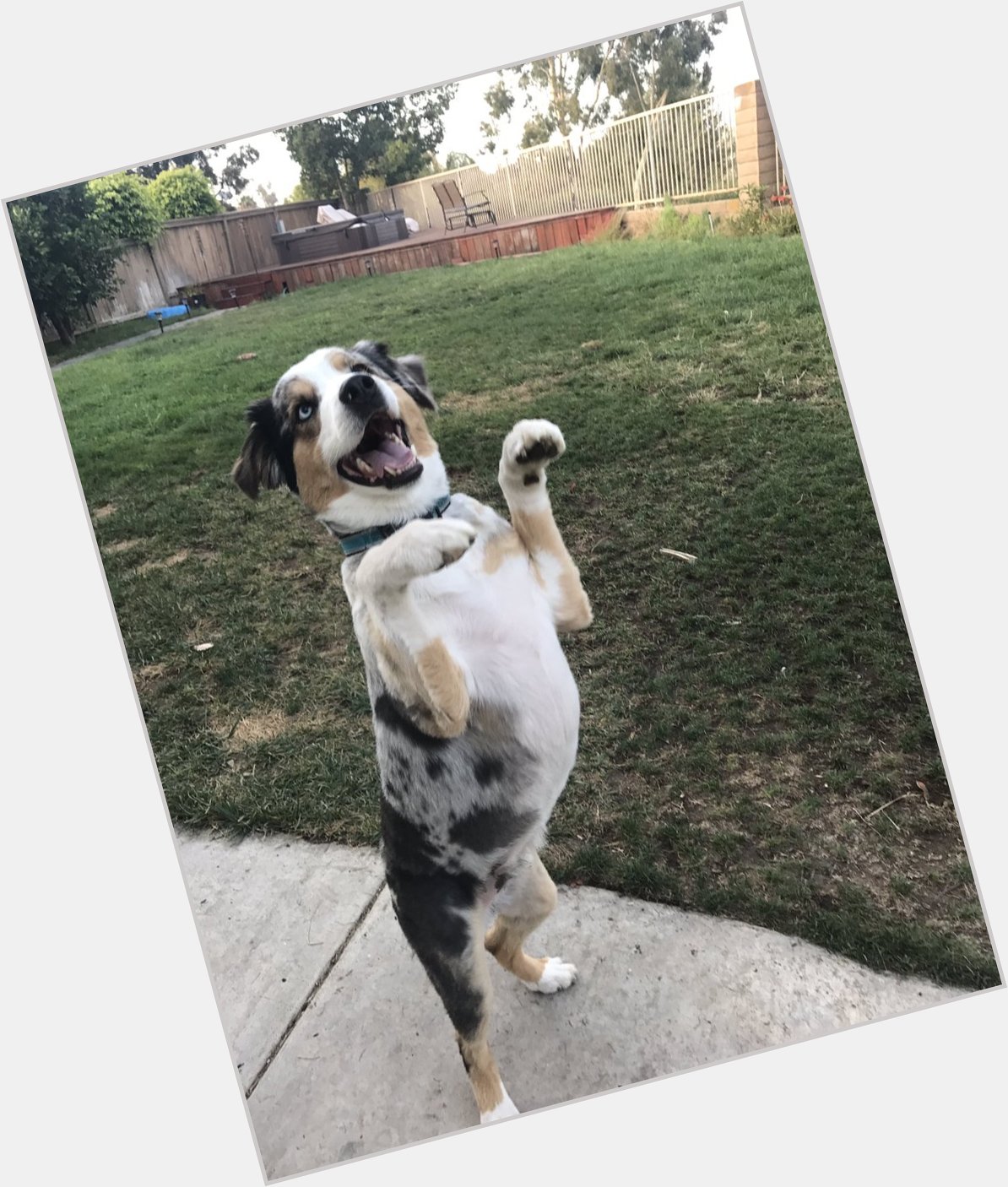 Happy 4th birthday to this big boy! 