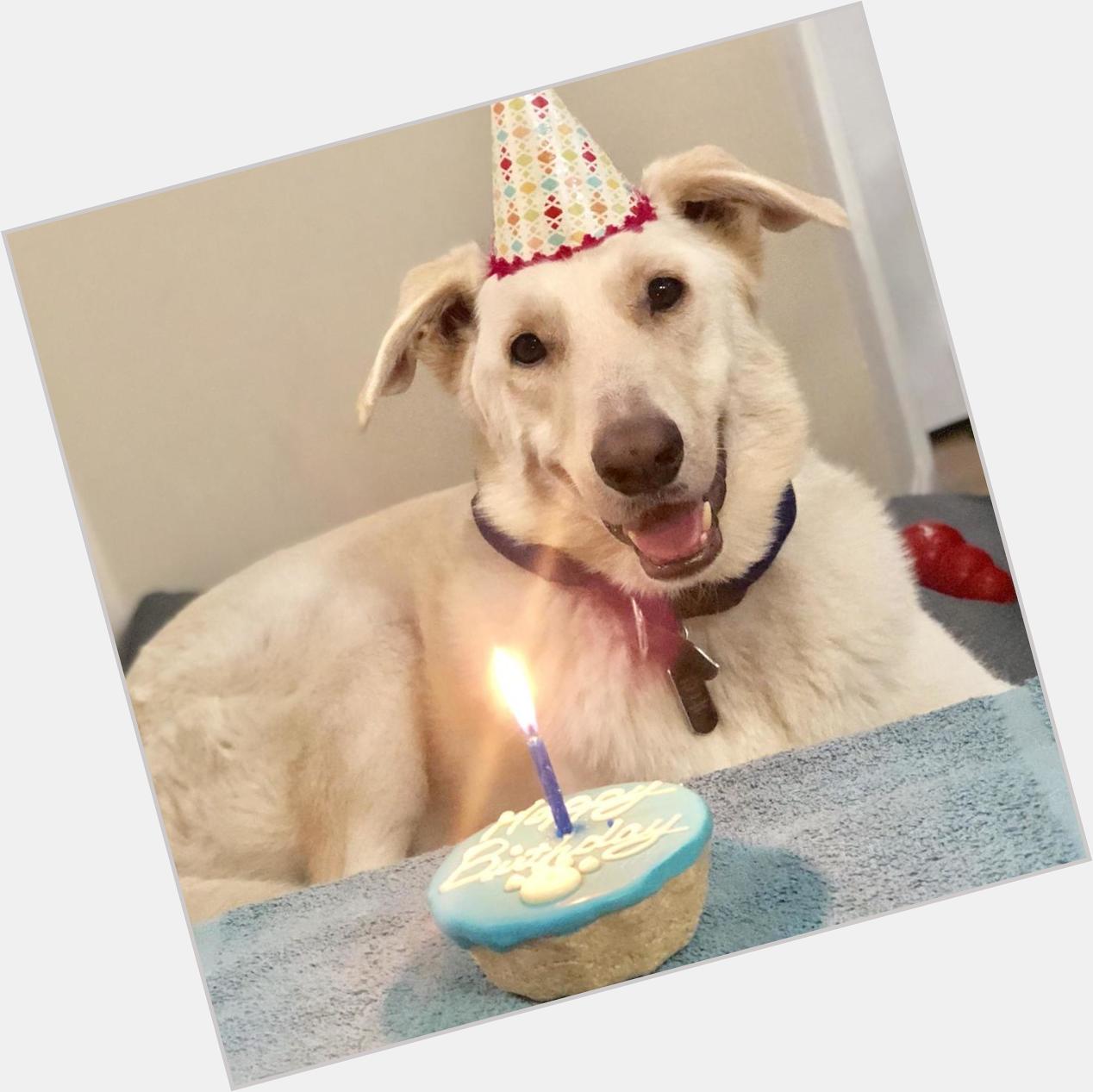 \"Can you guys say happy birthday my big boy, 4 years young!\" via Subreddit - Courtesy of epalomo 