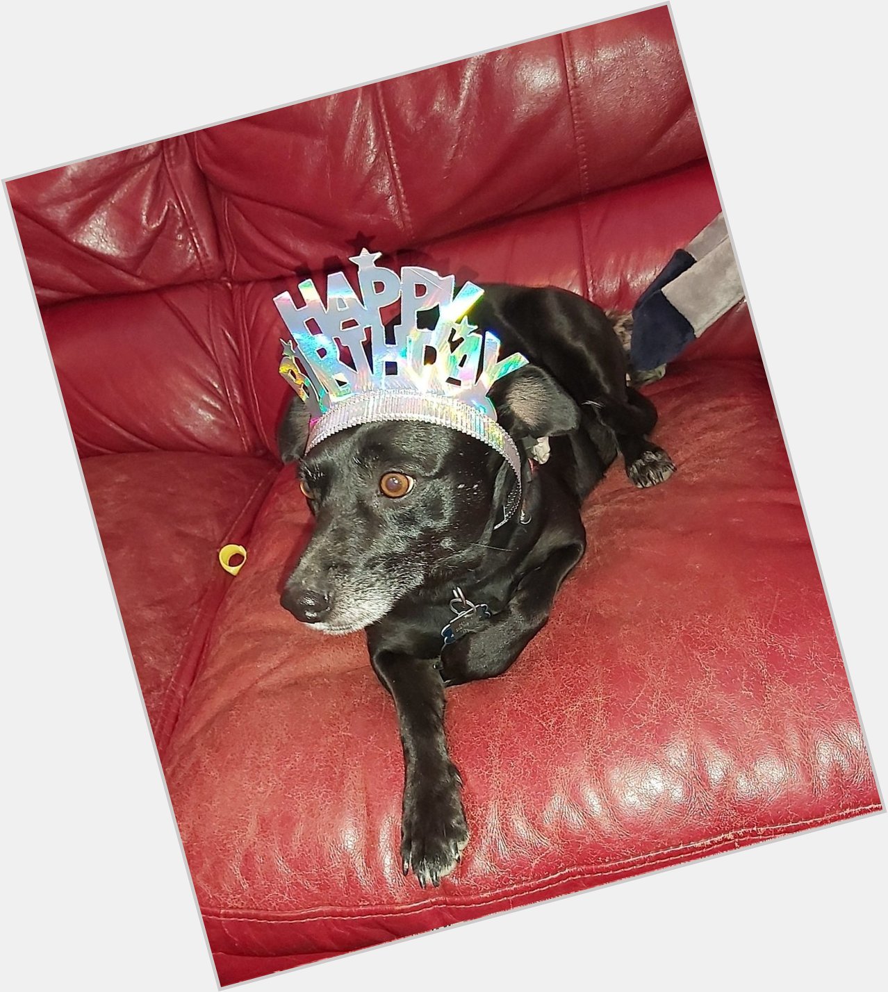  Happy birthday Ollie, we are sending hugs too, you are a very big boy and very handsome   