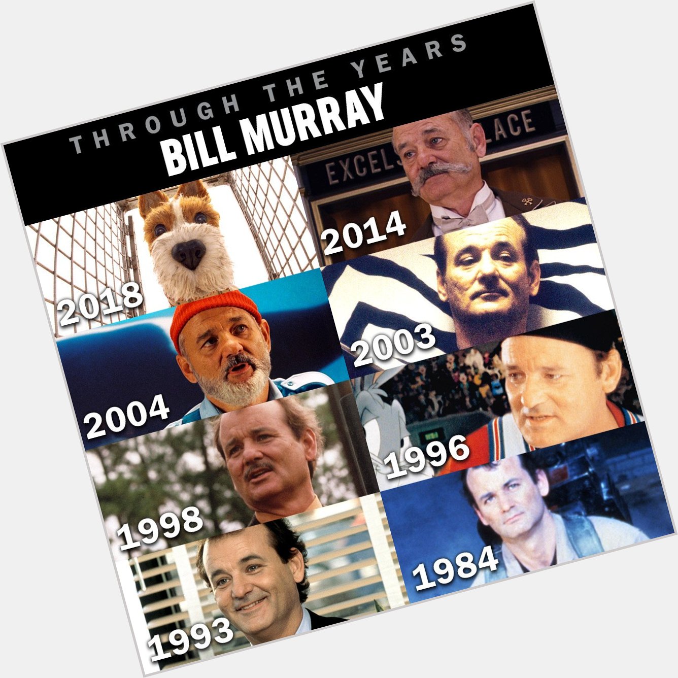 Happy birthday to Bill Murray! Name your favorite films? 