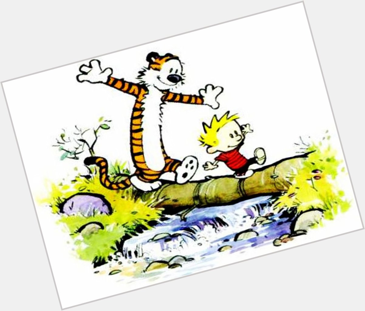 Happy Birthday to Bill Watterson, creator of Calvin and Hobbes! 
