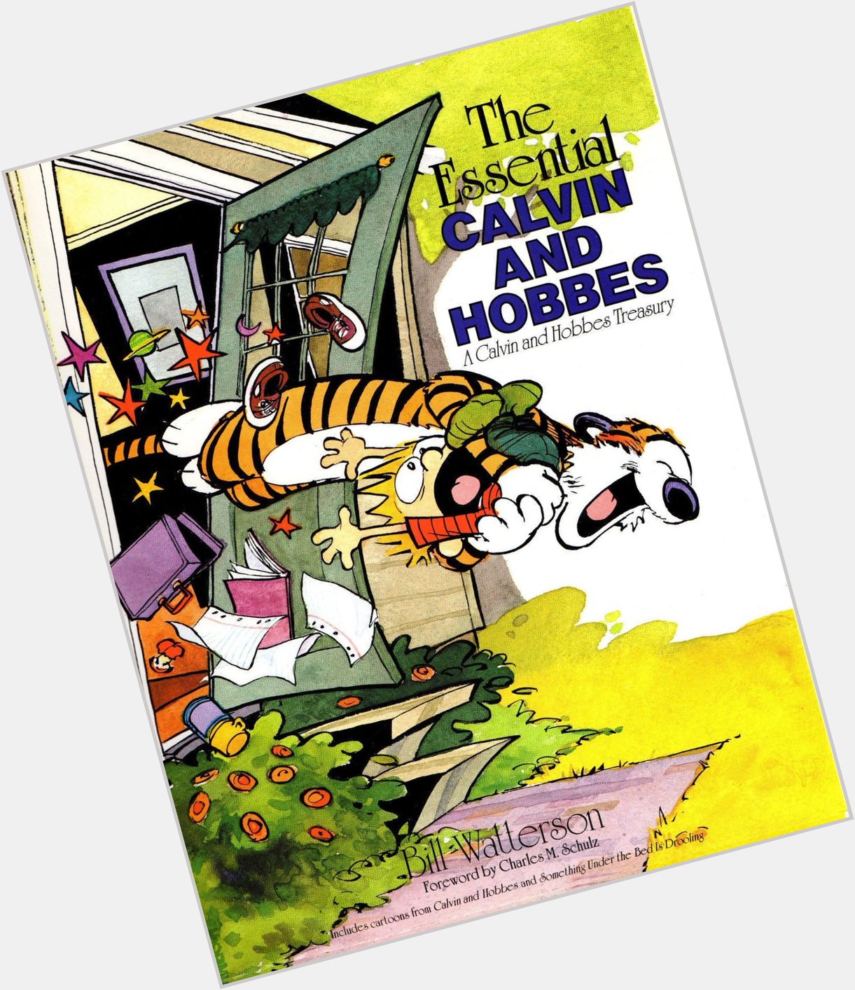 Happy birthday to comics genius Bill Watterson - THE ESSENTIAL CALVIN AND HOBBES 