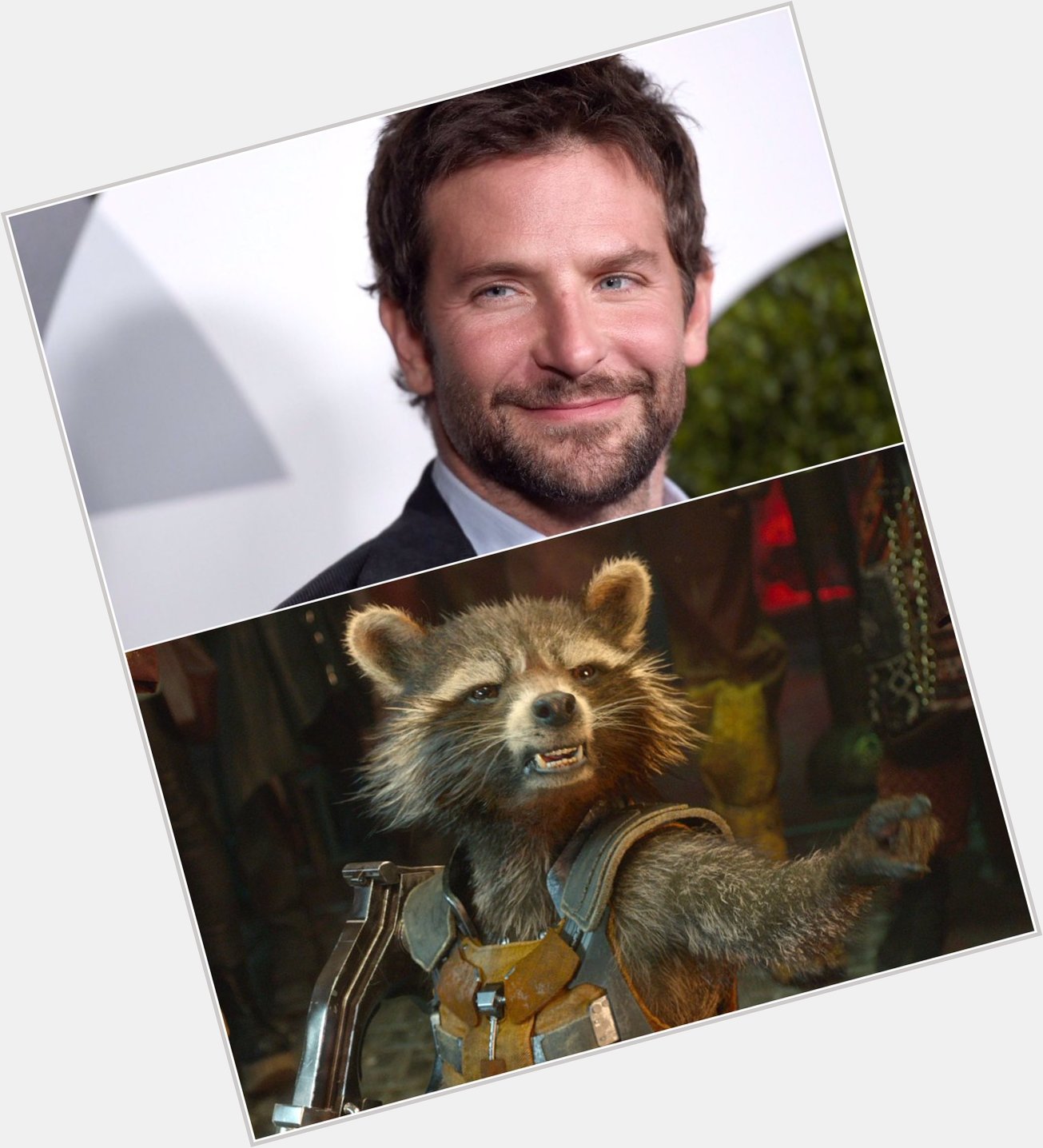 Happy Birthday Bradley Cooper aka Rocket Raccoon! 