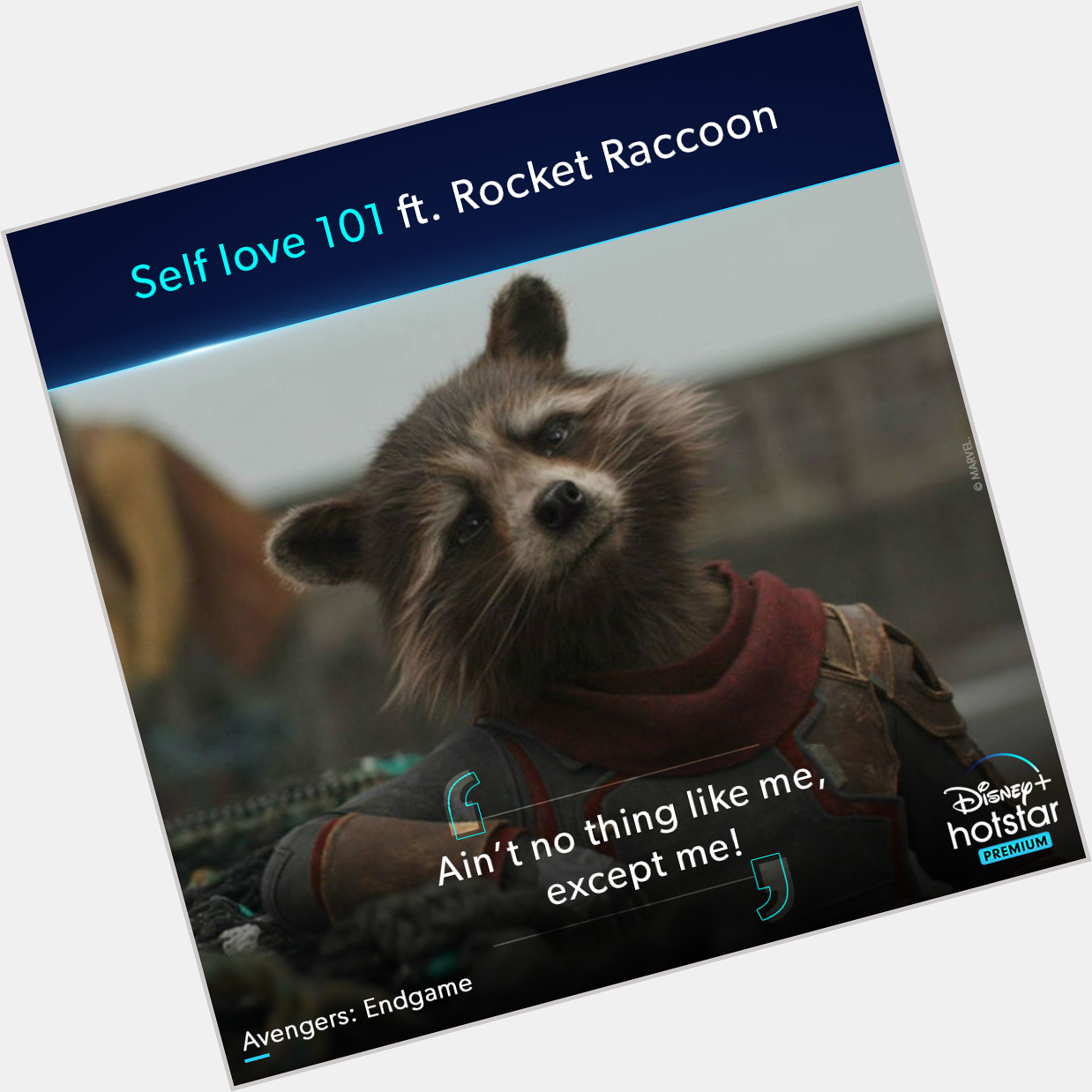 We love Rocket Raccoon as much as he loves himself! Happy Birthday, Bradley Cooper 
