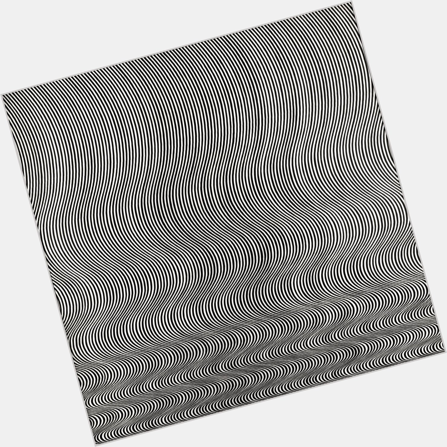 \"Focusing isn\t just an optical activity, it is also a mental one.\" Happy Birthday Bridget Riley 