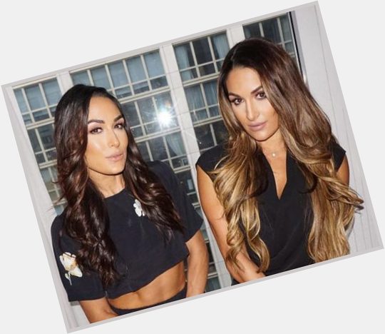  Happy 32nd Birthday, Nikki and Brie Bella Celebrate With  