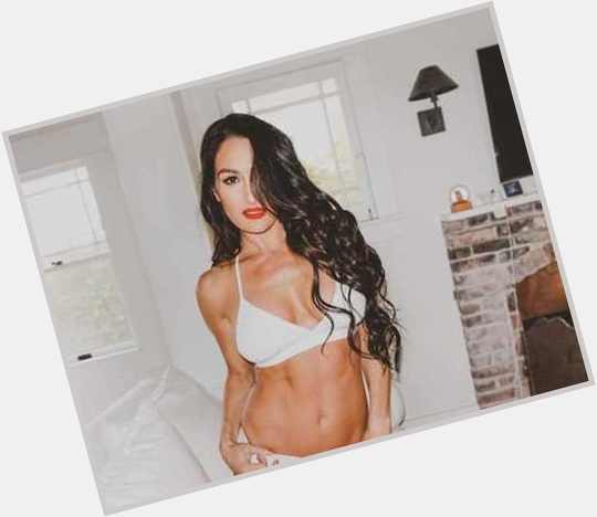 Happy 34th Birthday, Nikki and Brie Bella Lets Celebrate With Some Sizzling Pics of the 