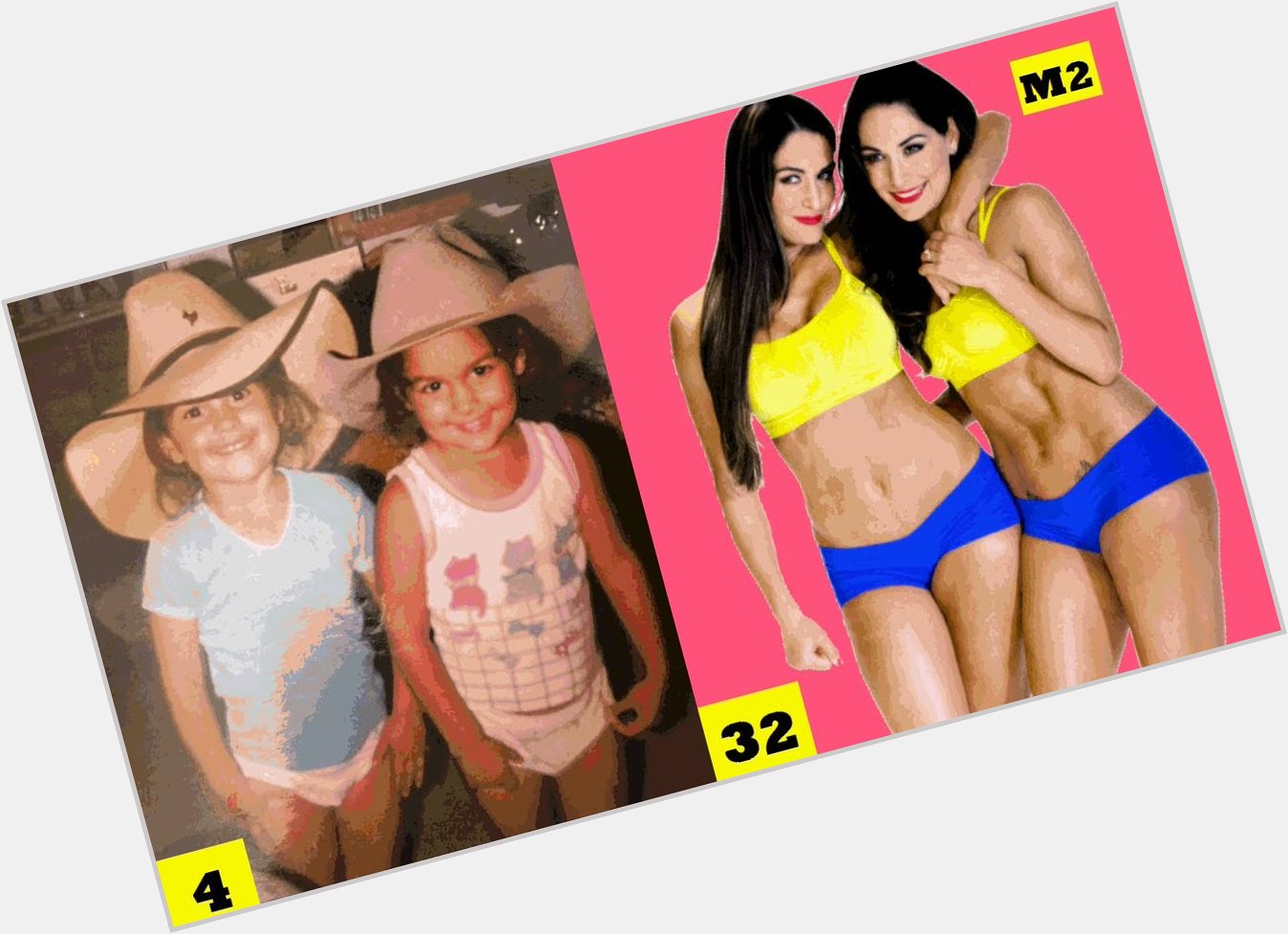  Happy birthday Nikki  and Brie ( Bella Twins) also good sister                    
