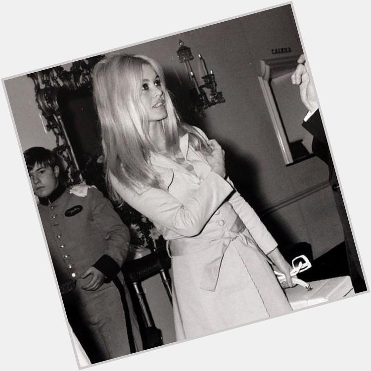 Happy Birthday Brigitte Bardot!  