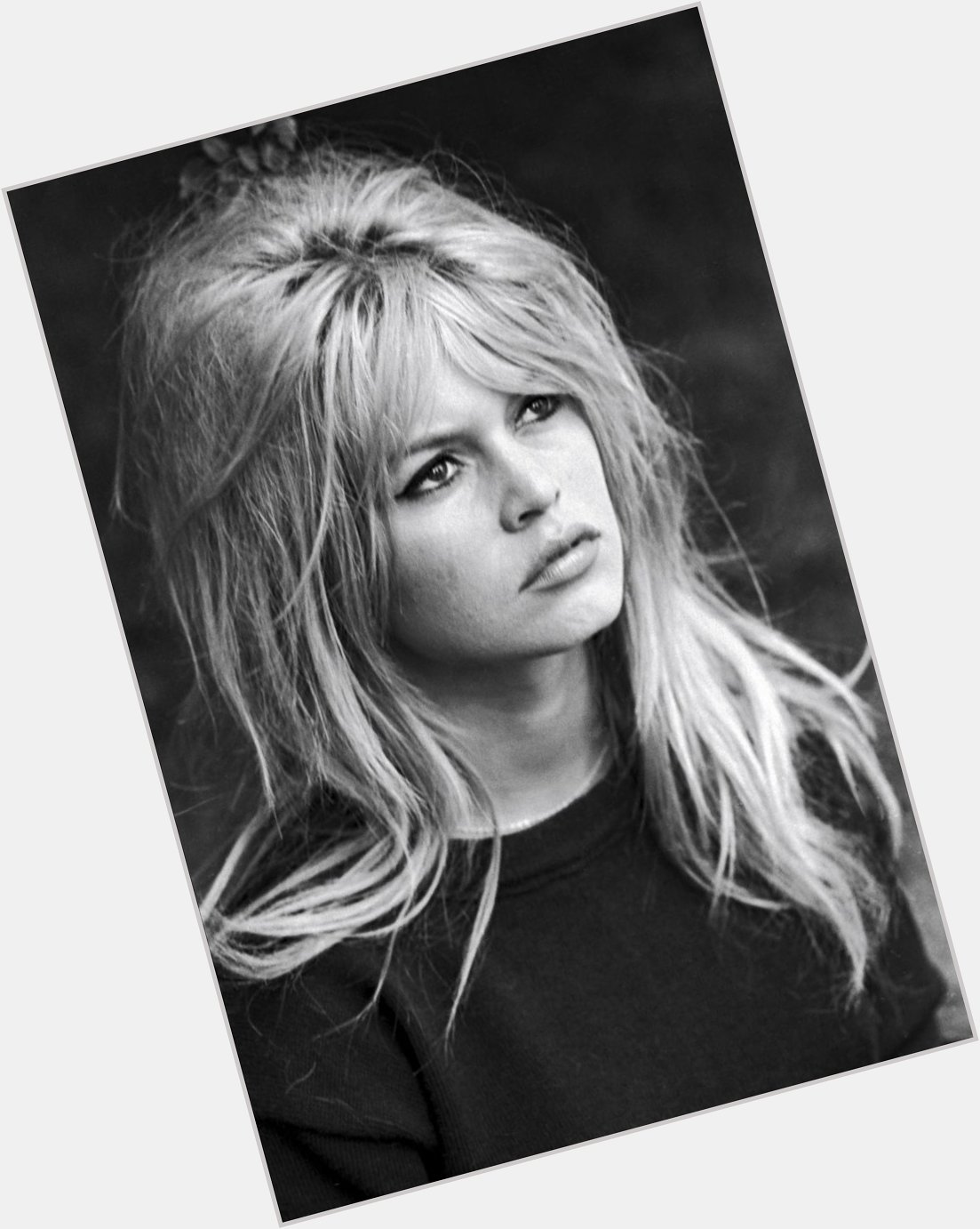 Joyeux Anniversaire Brigitte Bardot (81) Happy Birthday 