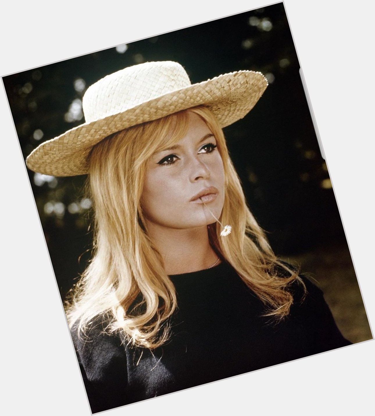 Happy birthday Brigitte Bardot, the most beautiful woman in the world 