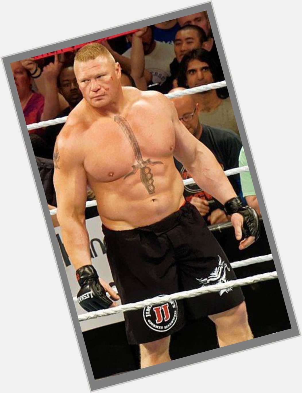   Happy Birthday to Brock Lesnar   