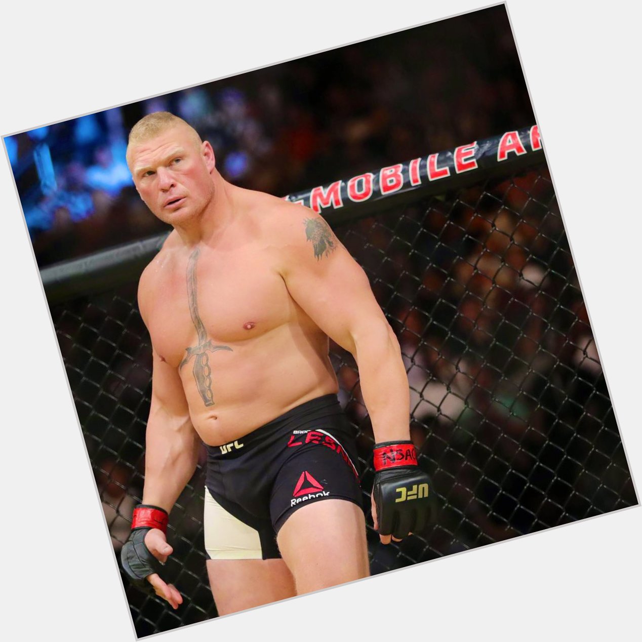 Happy Birthday to this Mountain of Power, The BEAST, The MAN   BROCK !! LESNAR !!    