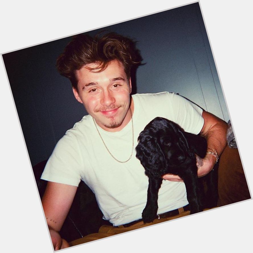 What\s better than Brooklyn Beckham? Brooklyn Beckham with puppies  Happy Birthday  