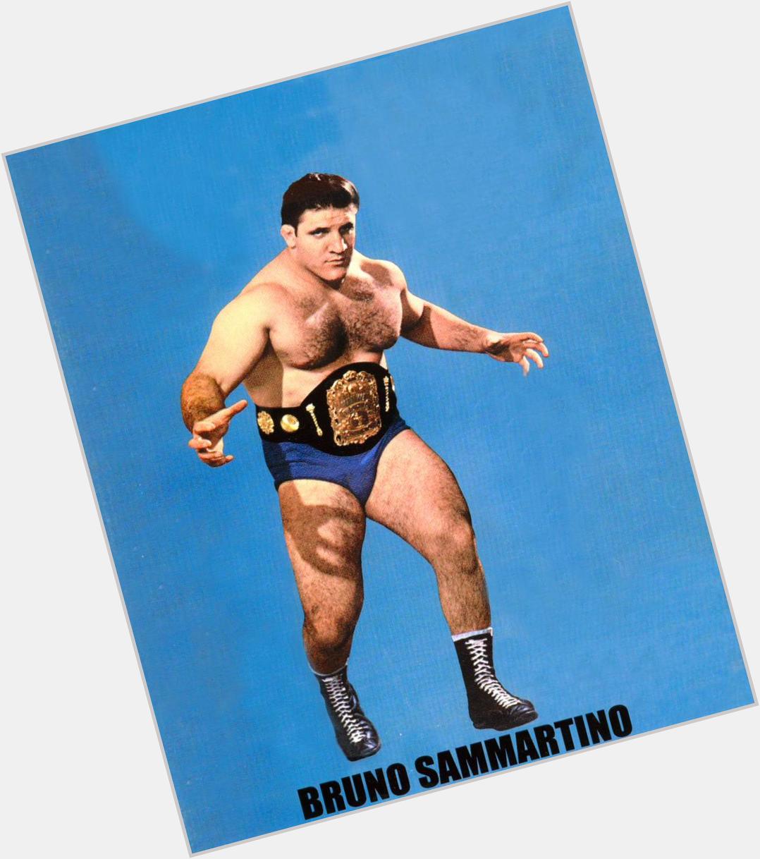 Huge Happy 80th  Birthday to wrestling legend Bruno Sammartino  
