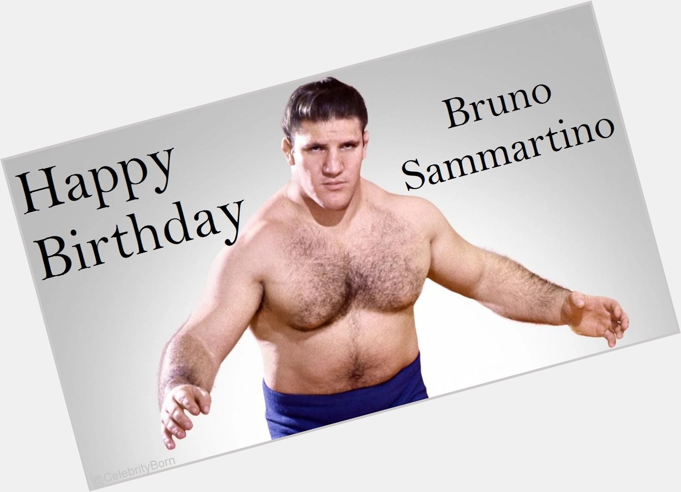 Happy Birthday to Bruno Sammartino (Wrestler & Announcer) 