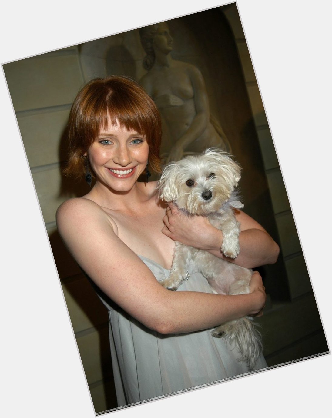 Happy birthday to writer, director and actor Bryce Dallas Howard!   
