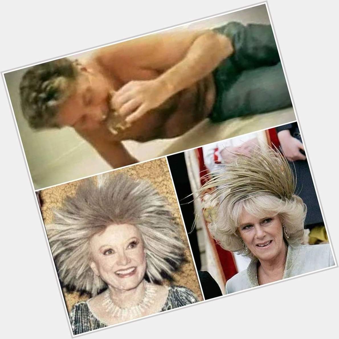 Happy Birthday to David Hasselhoff, Phyllis Diller, and Camilla Parker Bowles! 