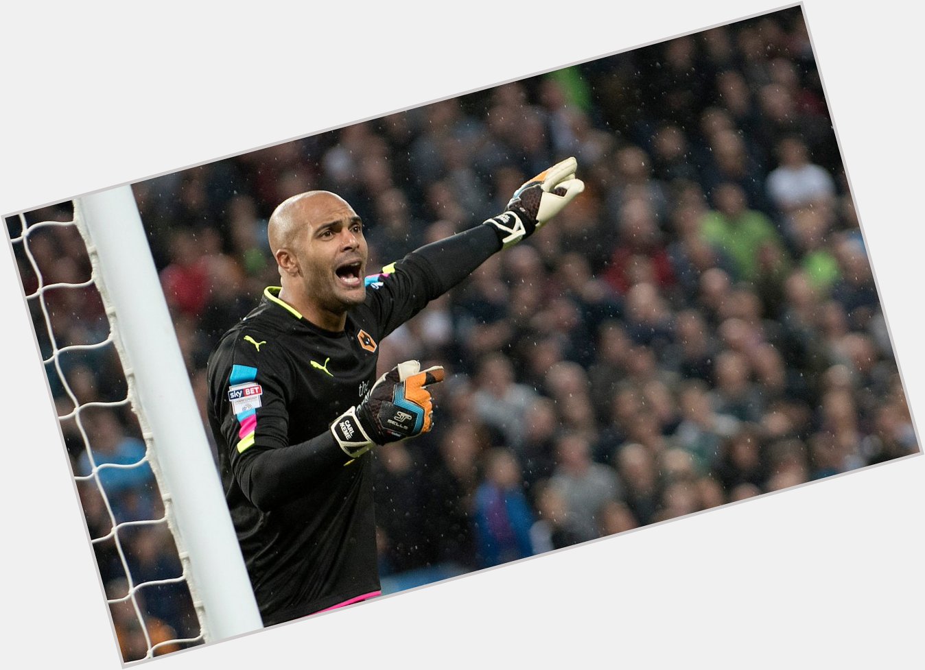 A very happy birthday to the Wolves number ! The legend that is Carl_Ikeme turns 33 today, have a great day! 