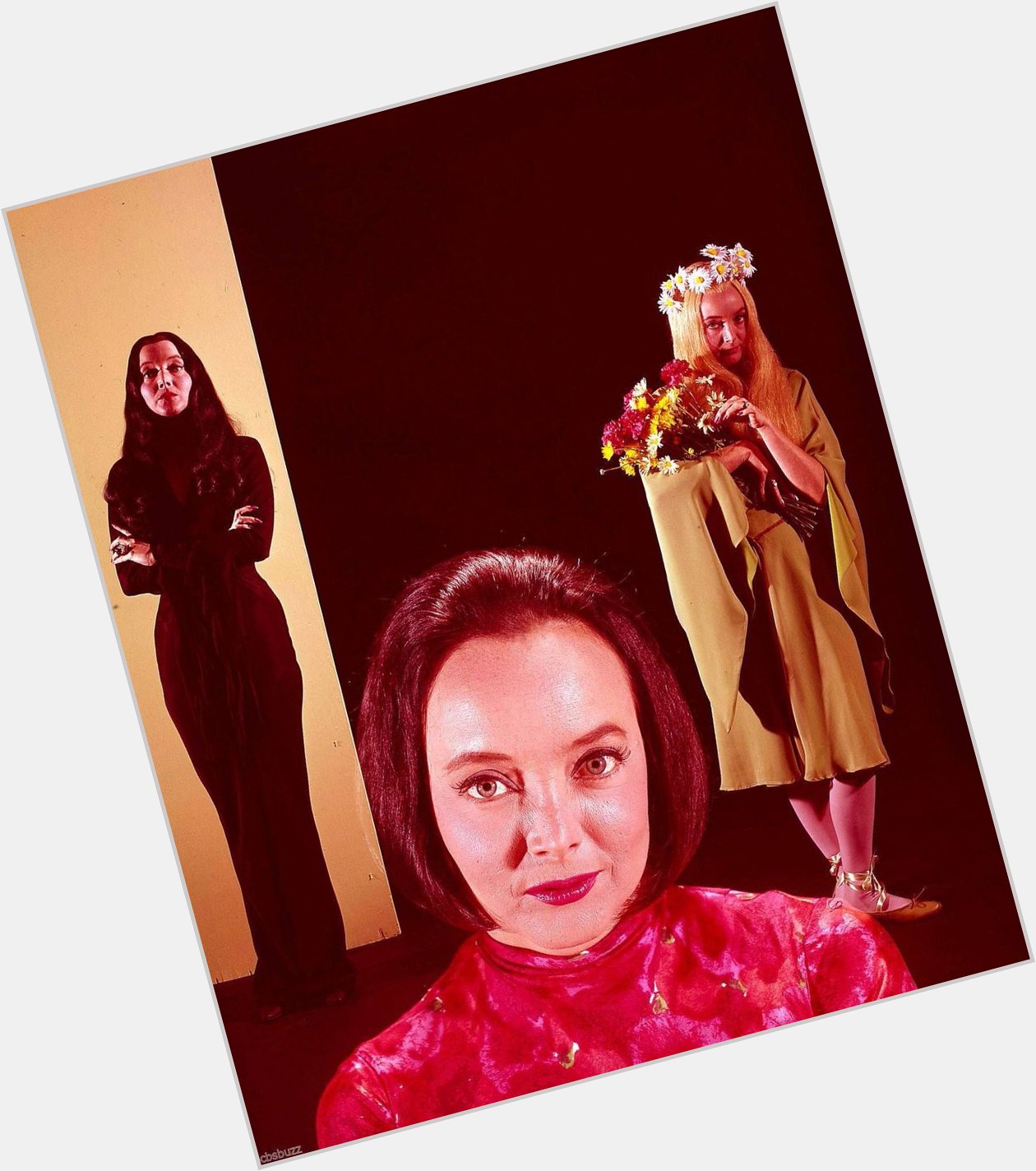 Aww happy birthday to Carolyn Jones though!! The Addams Family is the only mommy blog you need. 