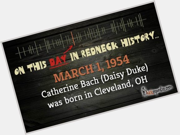 Happy Birthday to Catherine Bach (Daisy Duke)!    
