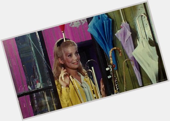. Happy birthday Catherine Deneuve. Here in Jacques Demy\s The Umbrellas of Cherbourg... 