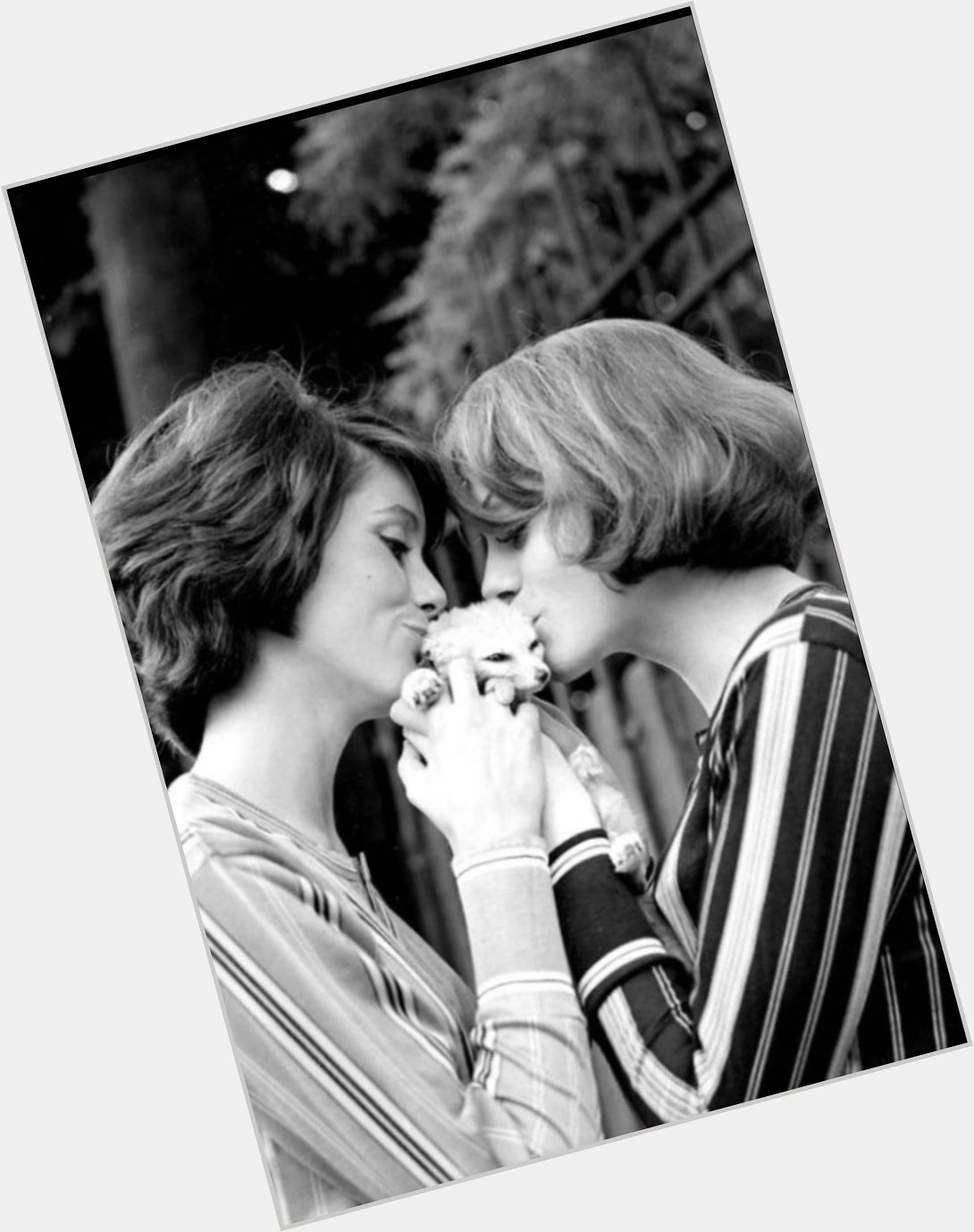 Happy Birthday Catherine! 

Catherine Deneuve and her
sister Françoise Dorléac 1960 