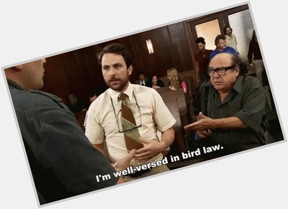 43 years ago today the most influential bird lawyer of all time was born. Happy birthday Charlie Day 