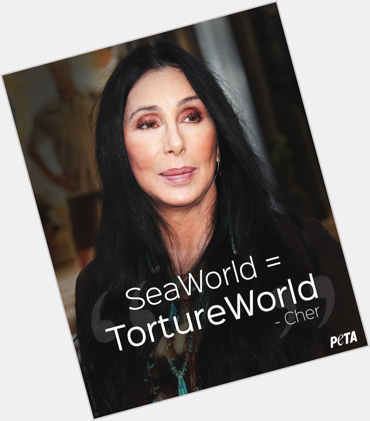 Love her for speaking up for the animals imprisoned at Happy Birthday, to the incredible  