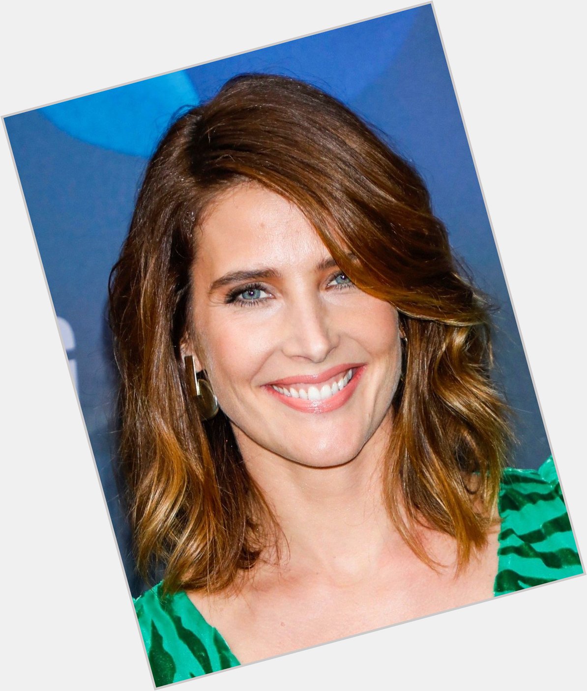 Happy 38th to the beautifully underrated Cobie Smulders. Hope you have an Epictastic birthday 