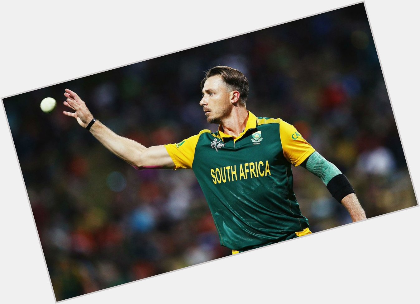  Dale_Steyn .an breath taking bowler     .
an amazing photographer too... 